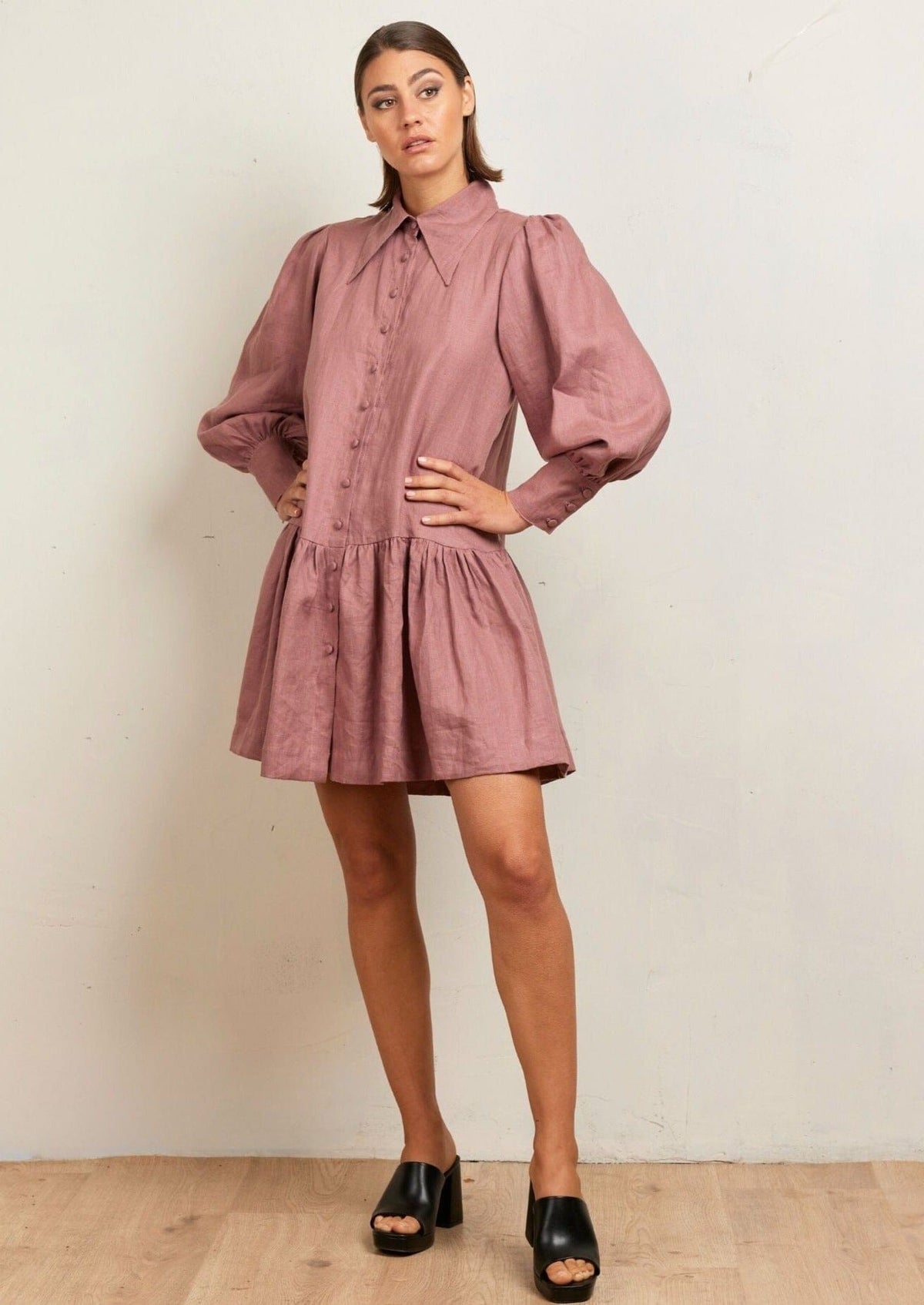 Pointed Collar Mini Dress-rose Dress State of Embrace 